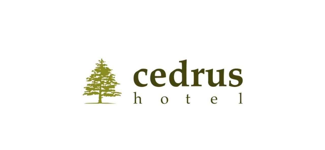 Cedrus Hotel Antalya Kültér fotó